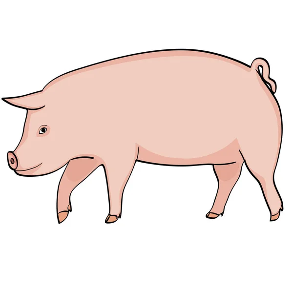 Mistreț de fermă, porc roz pe un fundal alb, obiect — Vector de stoc