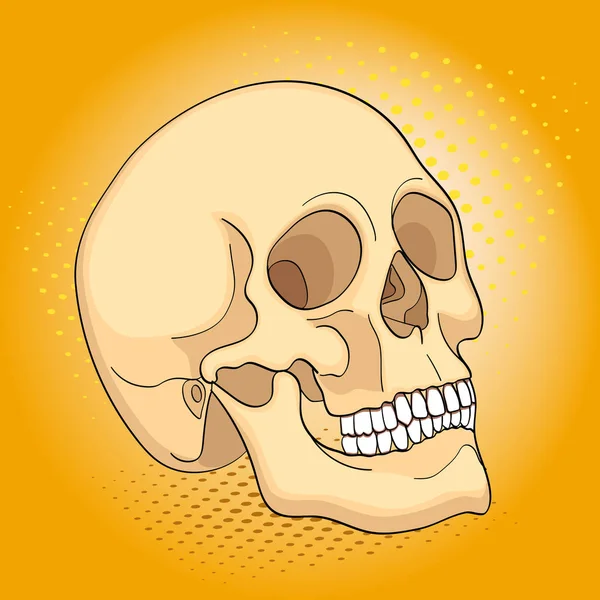 Arte pop objetos médicos cráneo humano. Imitación estilo cómic — Foto de Stock