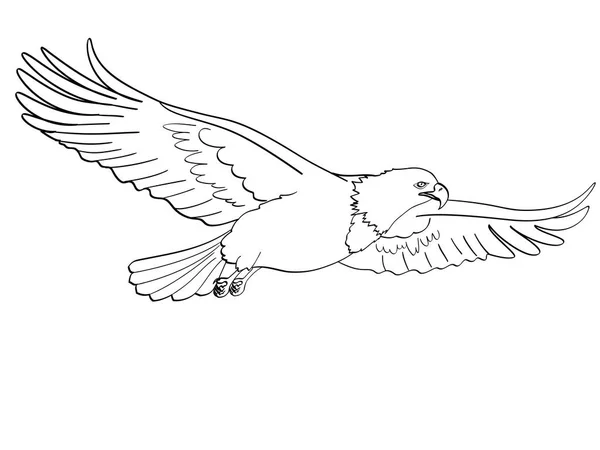 Aigle oiseau, faucon. Raster d'un style comique imitation rétro. objet isolé sur fond blanc. Coloriage de livre pour enfants — Photo