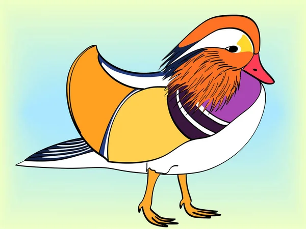 Arte Pop. Raster de imitación estilo cómic retro. El pájaro, pato mandarín, ganso . —  Fotos de Stock