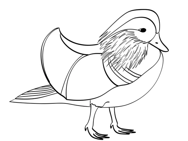 Book coloring for children. Raster bird, Mandarin duck, goose. — Stock Photo, Image