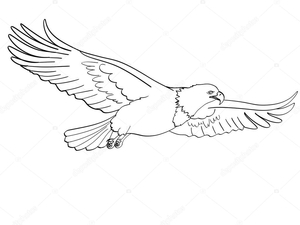 Bird eagle, falcon. Raster of an imitation retro comic style. isolated object on white background. Book coloring for children