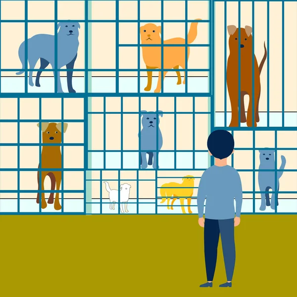 El niño elige un perro en un piso de refugio de animales. En estilo minimalista. Vector de dibujos animados — Vector de stock