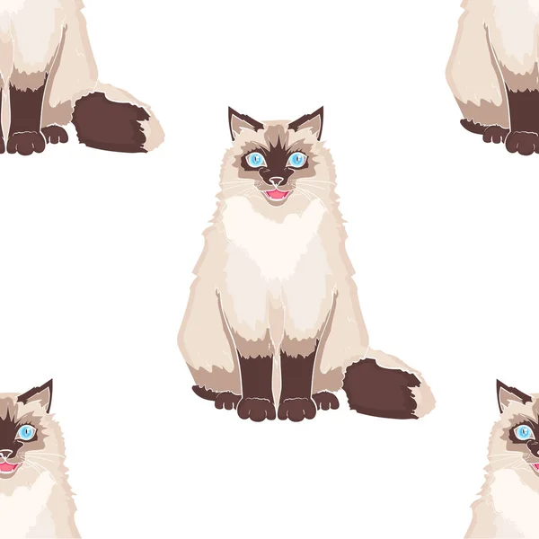 Nahtloses Muster für Kinder Cartoon-Objekt auf weißem Hintergrund. Haustier. siamesische Katze oder sibirische Farbe Neva Maskerade. Raster — Stockfoto