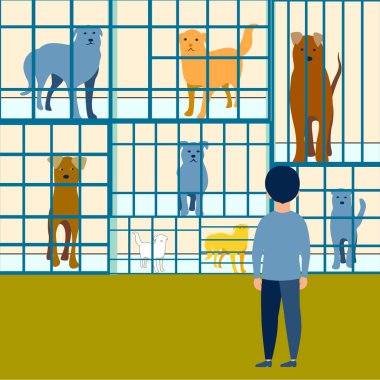 Çocuk bir hayvan barınağında bir köpek seçer. Minimalist tarzda. Karikatür Raster
