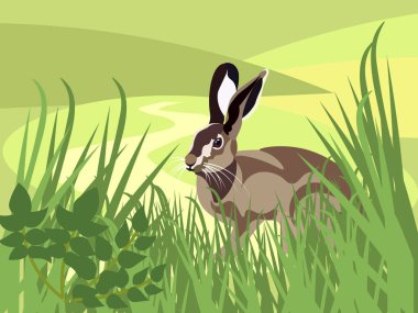 Wild animal. A hare is sitting in the grass. In minimalist style. Cartoon flat clipart