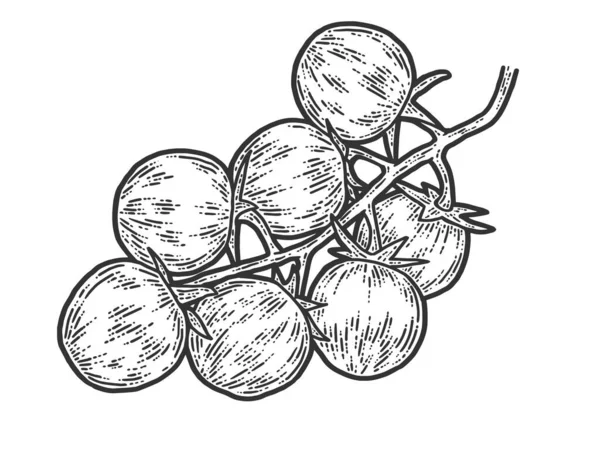 Pomodori ciliegia. Schizzo graffio bordo imitazione. Bianco e nero . — Foto Stock