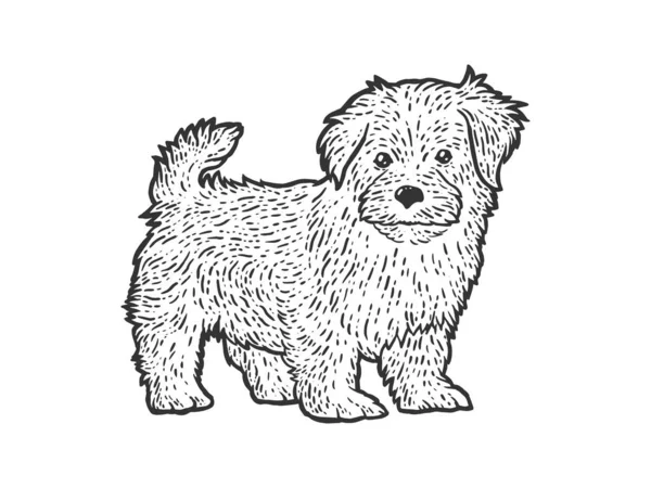 Lindo y esponjoso cachorro. Imitación del sketch scratch board. Blanco y negro . — Archivo Imágenes Vectoriales