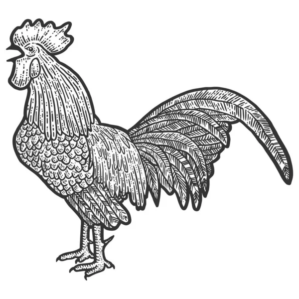 Poultry, rooster. Sketch scratch board imitation. Black and white. — Stock Photo, Image