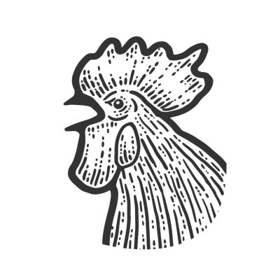 Bir horozun kafası. Çizim tahtası taklidi. Siyah ve beyaz.