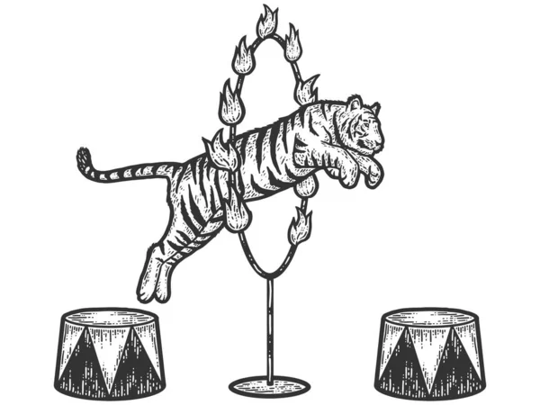 Cirque, tigre sautant à travers un cercle de feu. Croquis imitation de planche à gratter. — Image vectorielle