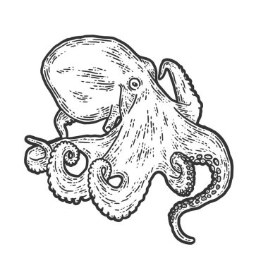 Deniz hayvanı, ahtapot. Çizim tahtası taklidi. Siyah ve beyaz.