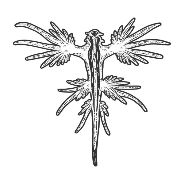 Deniz hayvanı. Glaucus Atlanticus. Çizim tahtası taklidi. Siyah ve beyaz. — Stok Vektör