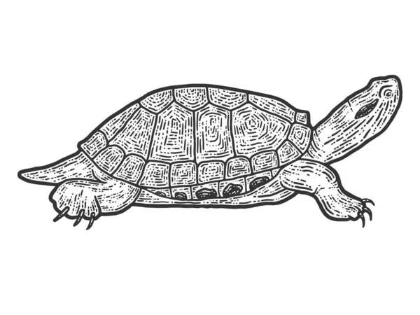 Tartaruga de réptil animal. Desenho imitação de raspadinha. Preto e branco . — Vetor de Stock