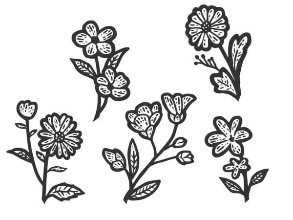 Ensemble de fleurs sauvages isolées. Croquis imitation de planche à gratter. Noir et blanc — Image vectorielle