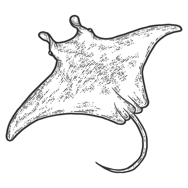 Peixes Batoidea. Desenho imitação de raspadinha. Preto e branco. —  Vetores de Stock