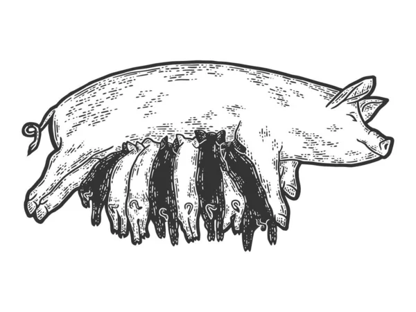 Schweinemutter füttert Ferkel. Skizze Scratch Board Imitation. — Stockfoto
