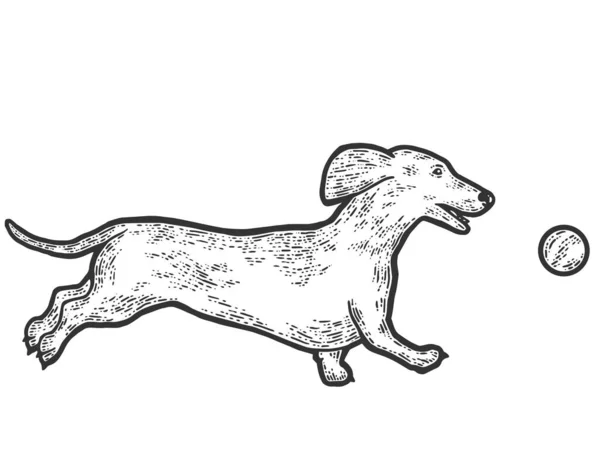 Dachshund perro juega con la pelota. Imitación del sketch scratch board. Blanco y negro. — Vector de stock