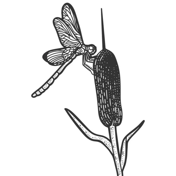 La libellule est assise sur les roseaux. Croquis imitation de planche à gratter. — Image vectorielle