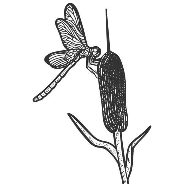Ważka siedzi na trzcinach. Imitacja deski do szkicowania. — Wektor stockowy