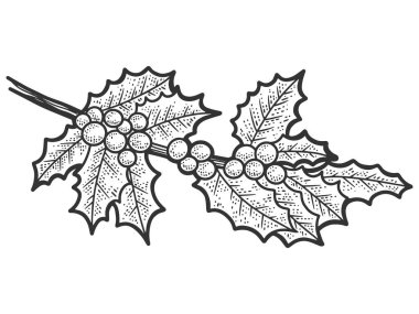 Çobanpüskülü. Çizim tahtası taklidi. Siyah ve beyaz.