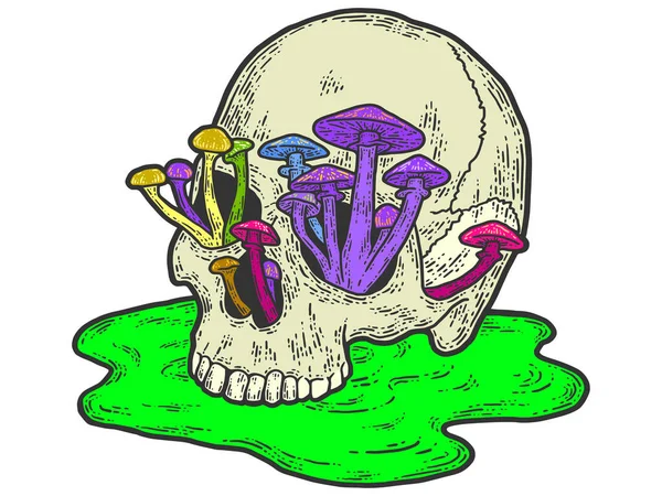 Crânio humano com cogumelos em crescimento. Sketch imitação placa de arranhão. — Fotografia de Stock