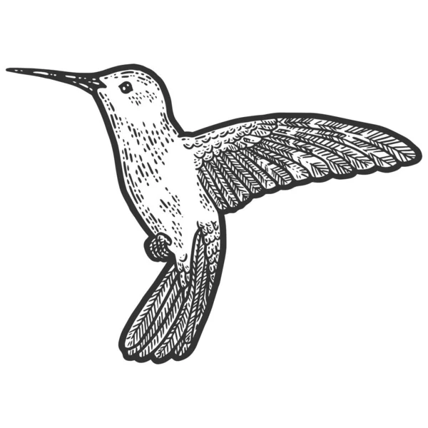 Uccello in volo, colibrì. Disegno graffio bordo imitazione colorazione — Vettoriale Stock