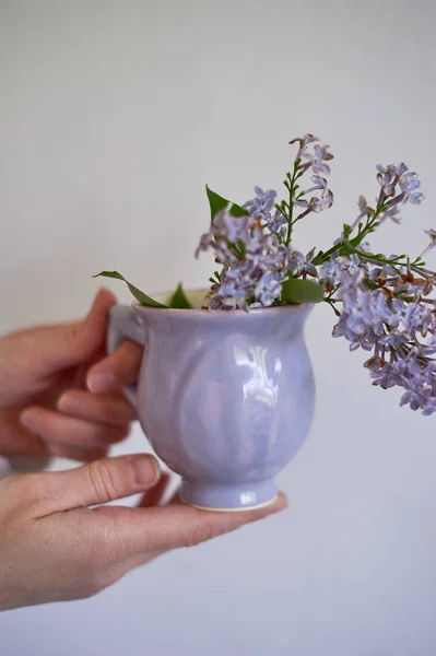 Óvatosan lila tál alakú egy Bud, borított jegesedés. A készség a keramikus. Kezét a keretben — Stock Fotó