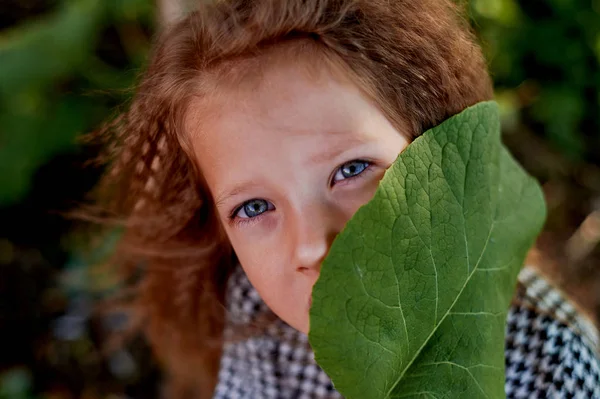 The baby is 4 years old, with blue eyes and small curls. Childrens enjoyment of life and adventures. Warm Golden sunset light. Looking away, dreamy, face leaf burdock — Stock Photo, Image