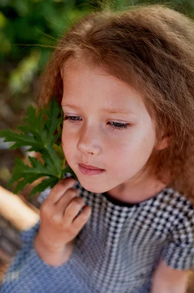 The baby is 4 years old, with blue eyes and small curls. Childrens enjoyment of life and adventures. Warm Golden sunset light.Looking away,dreamy, face leaf — Stock Photo, Image