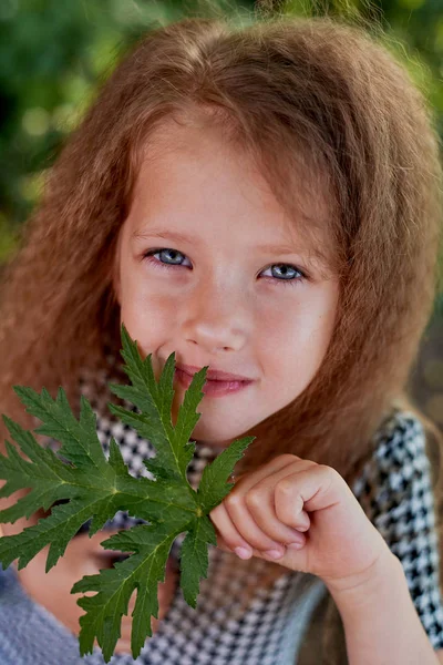 The baby is 4 years old, with blue eyes and small curls. Childrens enjoyment of life and adventures. Warm Golden sunset light.Looking away,dreamy, face leaf — Stock Photo, Image