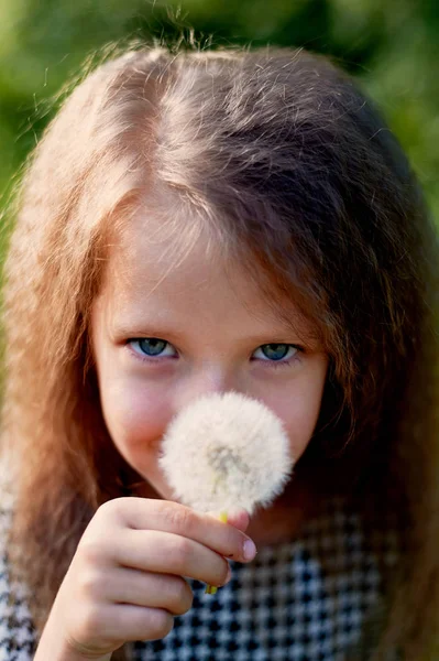 Baby 4 years, with blue eyes, small curls. A wonderful time of childhood and adventure. Warm sunlight.Holding a dandelion — Stock Photo, Image