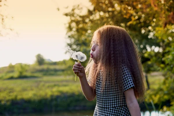 Baby 4 years, with blue eyes, small curls. A wonderful time of childhood and adventure. Warm sunlight. Holding a dandelion and blowing — Stock Photo, Image