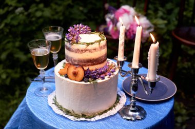 Romantik düğün yemeği, su kenarındaki parkta. Bir sürü yeşil. Güzel beyaz katmanlı pasta çiçek ve bir erik ağacı ile dekore edilmiştir. Dekor düğün