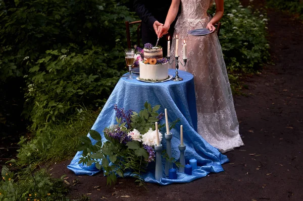 Romantic wedding dinner, in the Park by the water. Lots of green. Table for a romantic wedding dinner, date. The Park by the lake. In a blue color. With white bunk cake and serving for 2 persons.The