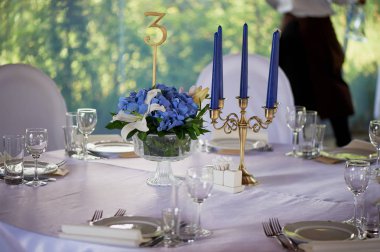 Tablo klasik bir tasarıma sahip. Vazoda bir yüksek ortancaları ve lilyum, Altın şamdan mavi mum ile bir kompozisyon ile. Dekor ve floristik