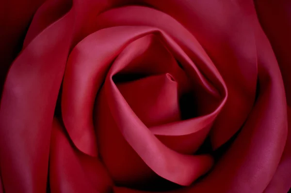 Red rose made of neoprene or artificial leather.Texture close — Stock Photo, Image