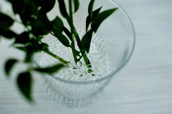 ハイドロゲル、フローリストで使用されるは、水と花を置き換えます。ガラス花瓶の白. — ストック写真