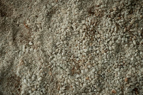 Texture of light sea pebbles.Pebbles, garden and decor
