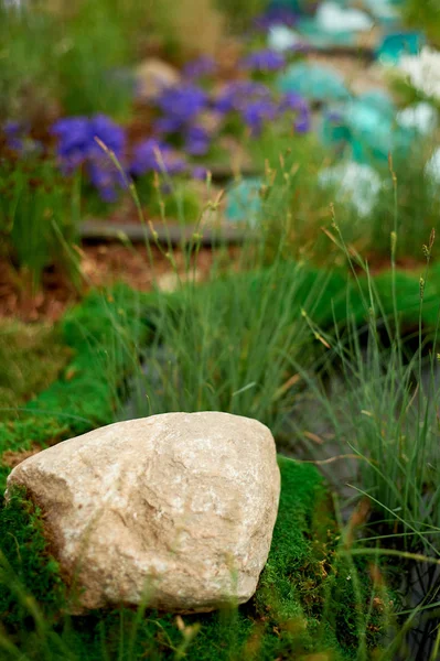 La pierre repose sur la mousse, les céréales poussent à proximité.Conception du jardin — Photo