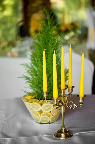 Cyprès dans un vase décoré de citrons. Combinaison fraîche et juteuse.Décoration de table au banquet de mariage . — Photo