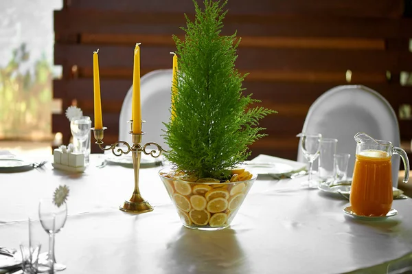 Cipresso in vaso decorato con limoni. Combinazione fresca e succulenta Decorazione della tavola al banchetto nuziale . — Foto Stock