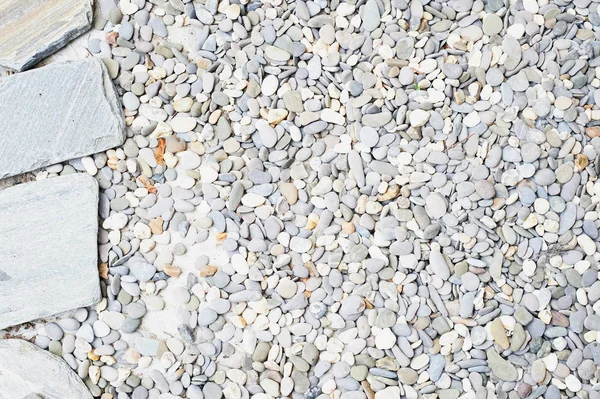Texture of light sea pebbles.Pebbles, garden and decor