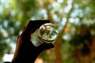 Yeşillik, ağaçlar ve doğa koruma kavramı. Ağaçta bir cam top yansımasıdır. Saflık