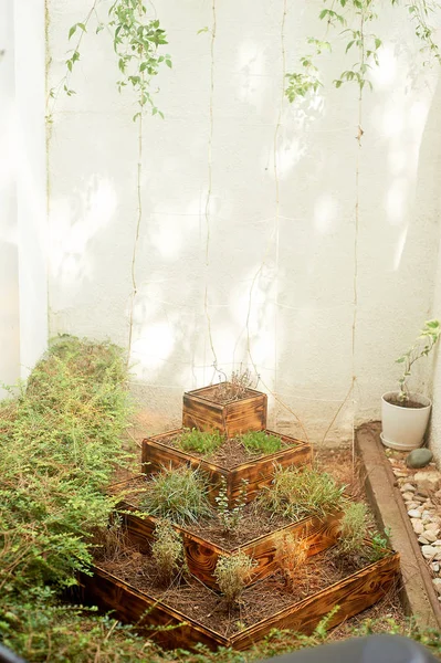 Basamaklı bir bahçe süs bitkileri passirovannogo ile ağaçtan. Süsleme ve dekor Bahçe, Park, Bahçe