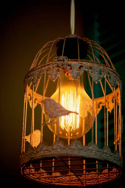 Bollen Erickson opgeschort met de cellen met de decoratie vogel. Gele warme lamp licht — Stockfoto