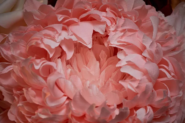 Close-up, decorative artificial flower from paper.The decor of the party