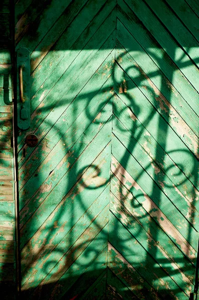 Old green door or wall of a wooden house in rustic style, with peeling paint.The shadow of a wrought-iron bars, black and white drawing