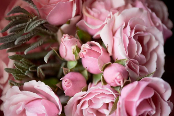 Sebuah karangan bunga kecil mawar merah muda. Bunga pernikahan. Warna pastel Delicate. Tekstur — Stok Foto
