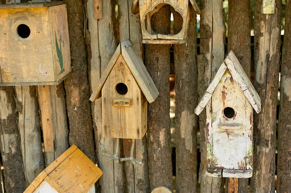 木製のフェンスの上の鳥小屋。鳥の世話. — ストック写真